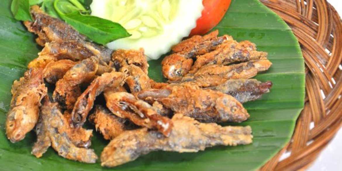 yummsfood.xyz-Uceng1170